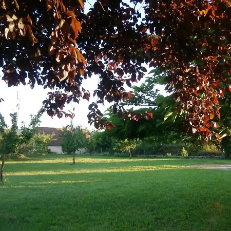 Holiday home Avec Jardin Et Cheminee A 2 Km De Cherveix-cubas, Proche Sites Prehistoriques Et Nautiques - Fr-1-616-158
